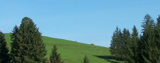 Auf dem Weg zum Kögelweiher