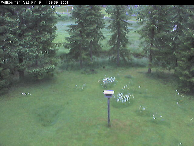 Bild von WebCam