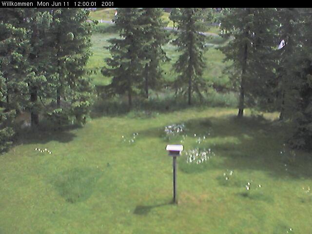 Bild von WebCam