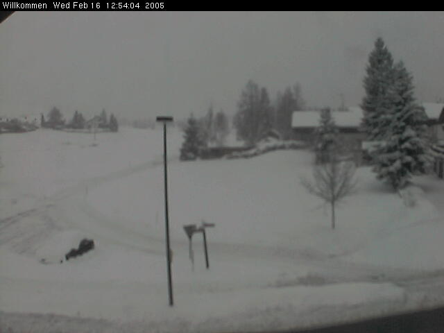 Bild von WebCam
