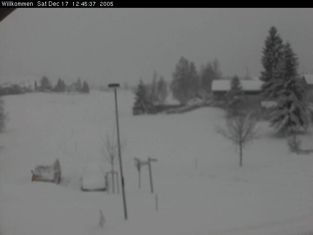 Bild von WebCam