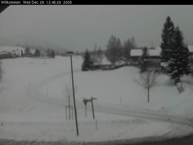 Bild von WebCam