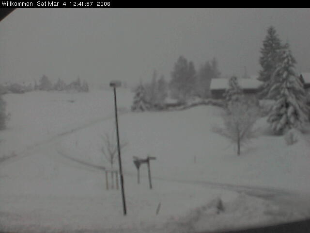 Bild von WebCam