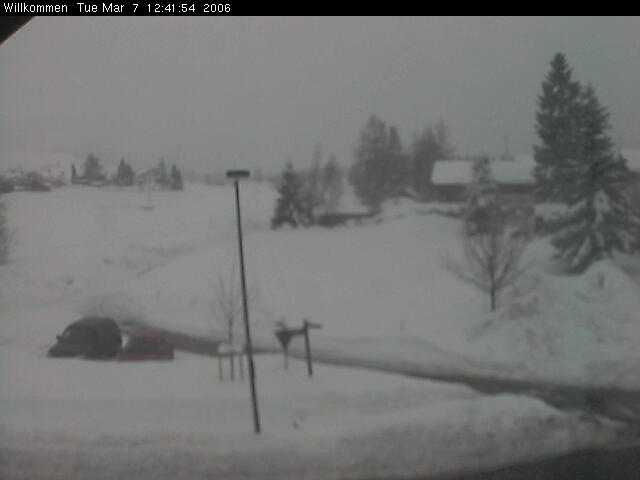 Bild von WebCam