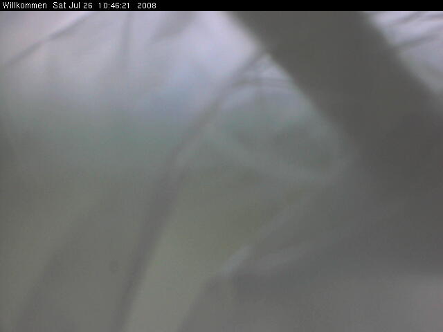 Bild von WebCam