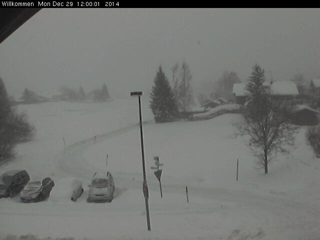 Bild von WebCam