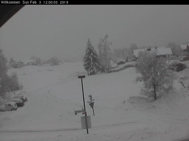 Bild von WebCam