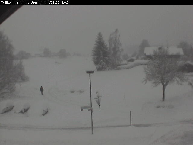 Bild von WebCam