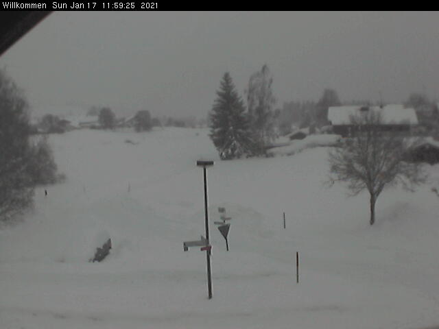 Bild von WebCam