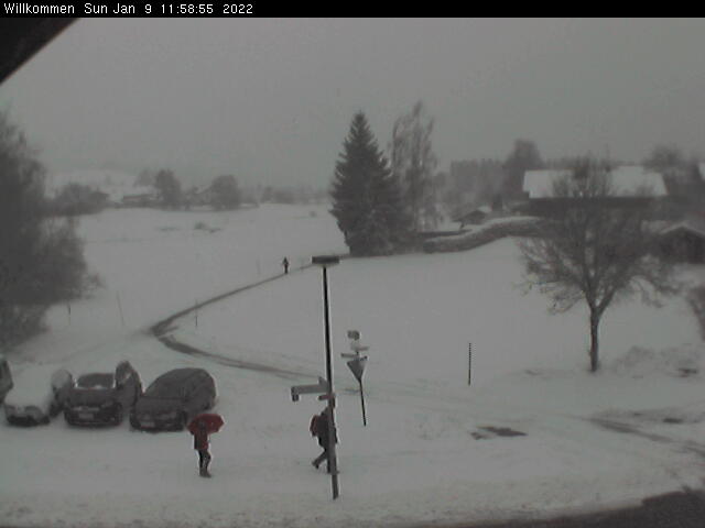 Bild von WebCam