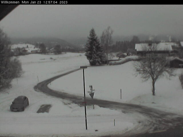 Bild von WebCam