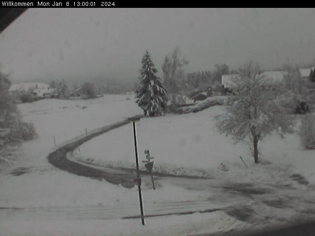 Bild von WebCam