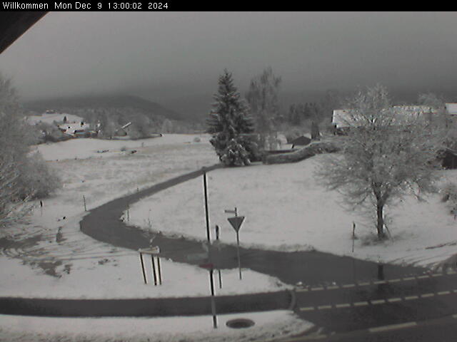Bild von WebCam